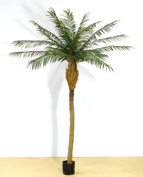 Hovedbilde Kunstig Phoenix Palme 150, 200 eller 230 cm